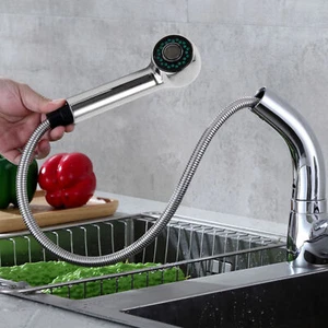 Ersatz Brausekopf Spüle Geschirrbrause Küchenarmatur Handbrause mit 2 Strahlen - Bild 1 von 12