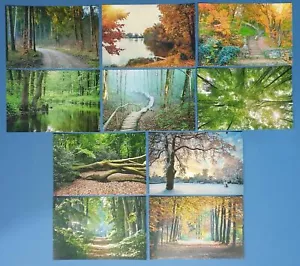 Postcards Trees & Woodland Set Of 10 NEW for Postcrossing & Postcardsofkindness - Picture 1 of 4