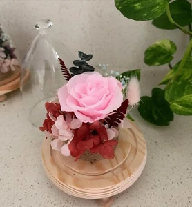 Hand-crafted Preserved Fresh Rose Flower In Glass Dome - Decor/Gift/Birthday - Picture 1 of 4