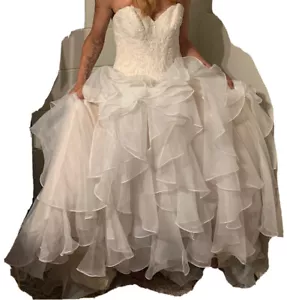 Unaltered Wedding Dress, Veil And Blush Size 6 - Picture 1 of 14
