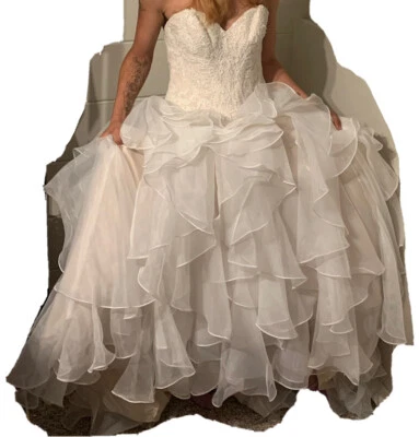 Vestido de novia inalterado, velo y rubor talla 6 Foto 1 de 4