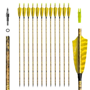 12Pcs 31" Archery Carbon Arrows Feather Nock Recurve Bow Compound Bow Hunting - Picture 1 of 20