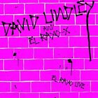 PRE-ORDER David Lindley - El Rayo Live (2016 reissue) [New CD] Reissue
