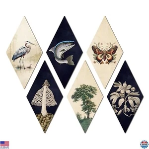 Nature Inspired Wall Decor Set of 6 Fish Butterfly Wooden Art Signs Rustic Decor - Picture 1 of 7