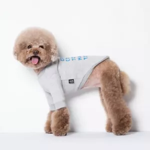 Maglione sportivo alta qualità animali domestici cani piccoli medi invernali primaverili vestiti regalo - Foto 1 di 5