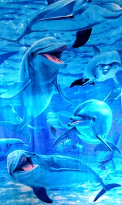 Dolphins Pod Aquatic Velour Beach Bath Towel 40X70 100%Cotton - Picture 1 of 1
