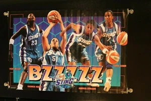 Póster deportivo de baloncesto para mujer Charlotte Sting BZZZZ WNBA difícil de encontrar 6139 - Imagen 1 de 3
