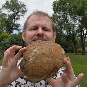 Enorme fósil de hueso con extremo de dinosaurio gigante bonita pátina formación Hell Creek Cretácico - Imagen 1 de 12