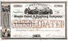 Morris Canal and Banking Company historische Aktie 1860 USA Kanal + Bank