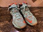EXC Rare Variation Nike LeBron XII Basketball Shoes Sneakers 684953-001 US 10