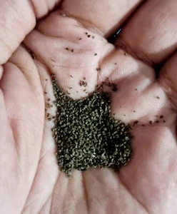 Pellets de comida para peces de estanque caliente pequeños hundiéndose todo tipo de peces Pellets Vibración Color - Imagen 1 de 1