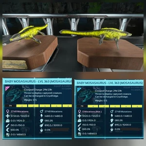 MOSA BATMAN TOP STATUS BABY PAIR ARK ASCENDED PVE OFFICIAL PC/XBOX/PS5 - Picture 1 of 4