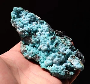 Chrysocolla on matrix. Planet Mine, Santa Maria Mining Dist., Arizona, USA - Picture 1 of 8