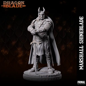 Miniatura Knight Marshall Shinebrade para Dnd Pathfinder DragonLance - Imagen 1 de 4