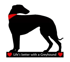 Windhund Hund Geschenk - Flexibler trocken abwischbarer Kühlschrankmagnet max. 12" x 8" und Markierungsstift - Bild 1 von 5