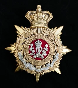 Placa de casco de oficial de tela azul The Royal Irish - Imagen 1 de 1
