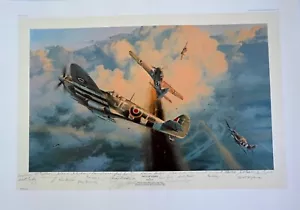 Greycap Leader Robert Taylor LE Druck signiert von mehr als 20 kanadischen Kampfpiloten - Bild 1 von 5