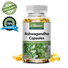 100% Natural Ashwagandha Capsules Increases Motivaltion Stress Relief