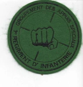 Patch  1° RI , Groupement Appuis Speciaux , insigne  , Patch , infanterie - Photo 1/2