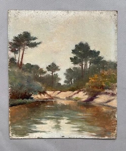 Tableau Ancien, Etang, Sud Ouest De La France, Huile Sur Carton, Début XXe - Imagen 1 de 7