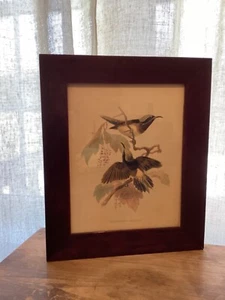 Estampado de pájaros vintage enmarcado - Imagen 1 de 5