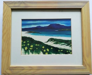 Anthony J Barber (Scotland) Primroses Framed Print Contemporary Frame - Picture 1 of 2