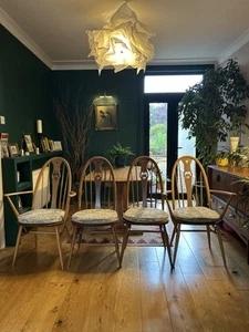 4 Ercol Windsor 876 Golden Dawn dining chairs incl. 2 carvers & seat pads - Picture 1 of 20