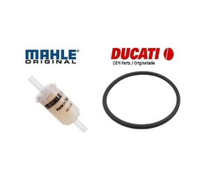 Ducati Monster 696 796 1100 S 2008-2011 gasoline fuel filter tank sealing ring - Bild 1 von 2