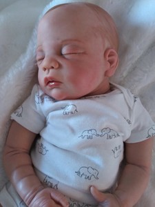 linda murray reborn dolls ebay