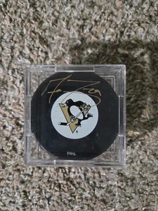 Vetrina Marc-Andre Fleury #29 Pittsburgh Penguins firmata Puck Frozen Pond - Foto 1 di 2