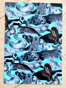 SEALS POSTCARD (BRAND NEW) - Picture 1 of 2