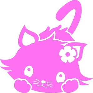 Sweet Kitty Decals Pussy Cat Funny Car Bumper Window Vinyl Decal Sticker Tablet - Picture 1 of 14