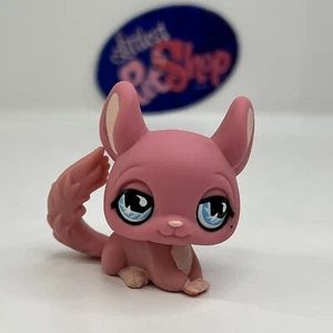 CHINCHILLA #599 - Littlest Pet Shop - Hasbro LPS - Picture 1 of 4