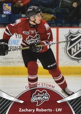 2018/19 Guelph Storm - ZACHARY ROBERTS
