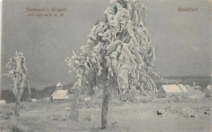 Zinnwald I. Erzgeb. Rime Postcard AK 1919 - Picture 1 of 2