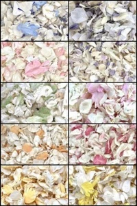 Biodegradable WEDDING CONFETTI IVORY Dried FLUTTERFALL Real Petal 1 LITRE - Picture 1 of 23