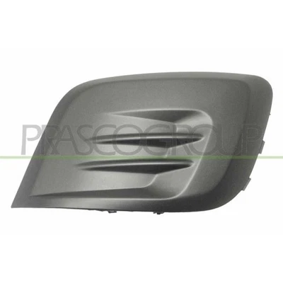 Panal De Radiador Prasco PG9122125 para Peugeot - Imagen 1 de 2