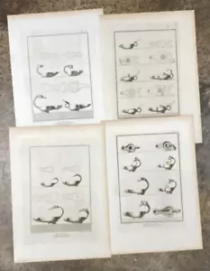 Set di quattro antiche incisioni a lampada romana del XVIII secolo 1762 - Foto 1 di 5