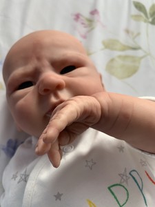 elisa marx reborn babies