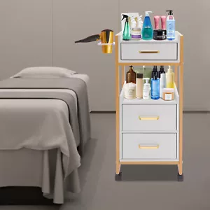 Salon Trolley Cart with Wheels Stylist Cart Mobile Hairdressing Barber Station - Picture 1 of 10