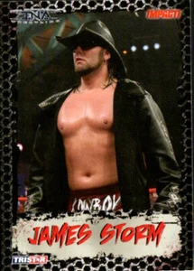 Tarjeta de lucha libre TriStar TNA 2008 #34 James Storm - Imagen 1 de 2