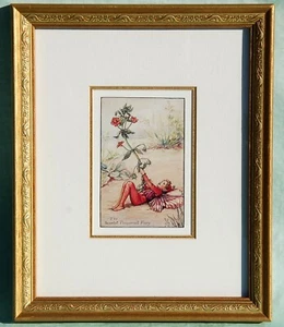 Impresión de hadas Cicely Mary Barker ~ Enmarañada y enmarcada ~ Hada Pimpinela Escarlata - Imagen 1 de 6