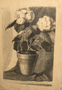 Antike realistische Druck Stillleben Blumen Vase - Bild 1 von 12