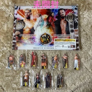 Shinnichi Premium Acabado Lotería Nuevo Japón Lucha Profesional Acrílico Soporte Set - Imagen 1 de 5