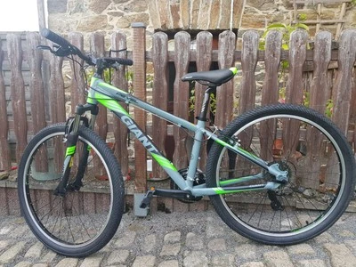Giant Revel, Mountainbike Hardtrail, S, Grau - Bild 1 von 4