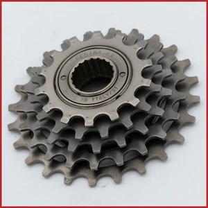 NUEVO DE LOTE ANTIGUO REGINA BX 14 24 T FREEWHEEL 5 sp VELOCIDAD AÑOS 90 ITALIANO DE COLECCIÓN CARRERAS DE CARRETERA HEROICA - Imagen 1 de 6