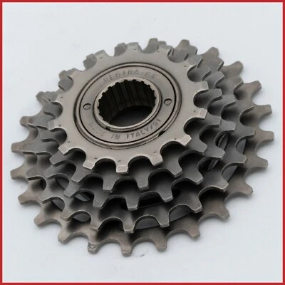 NUEVO DE LOTE REGINA BX 14 24 T RUEDA LIBRE 5 VELOCIDADES AÑOS 90 ITALIANO VINTAGE CARRETERA CARRERAS EROICA Foto 1 de 4