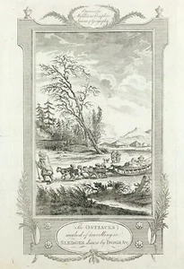 Russia Ostyak disegnato dai cani 1777 originale per Middletons persone con slitte - Foto 1 di 3
