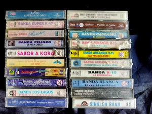 Banda "20 Cassettes de Musica Banda" Various Artistas FonoVisa Originales Lot #1 - Imagen 1 de 5