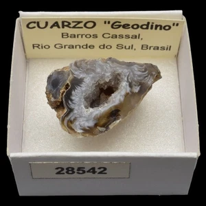 CUARZO Geodino (Barros Cassal, Rio Grande do Sul, Brasil) #28542 / Quartz - Picture 1 of 1